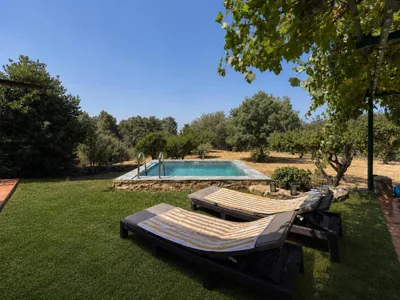 Casa Mimosa — photo 9
