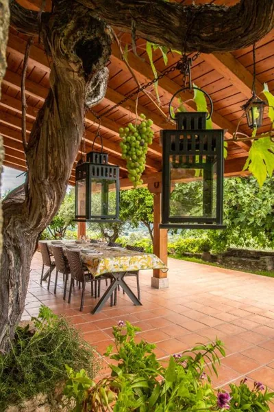 Casa Mimosa — photo 10