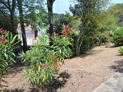 Casa minipa — foto 11