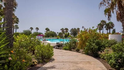Casa MoJo — foto 4