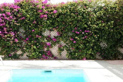 Casa Molinar — foto 12