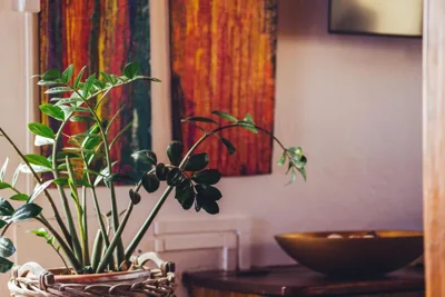Casa Natura — foto 6