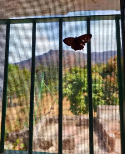Casa Nuestro Sueño — 写真 10