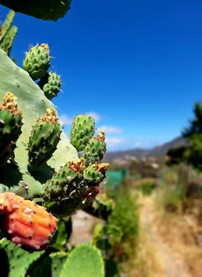 Casa Nuestro Sueño — 写真 11