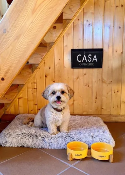 CASA O PIÑEIRO — Foto 11