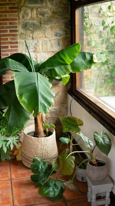 Casa 'Ohana — foto 11