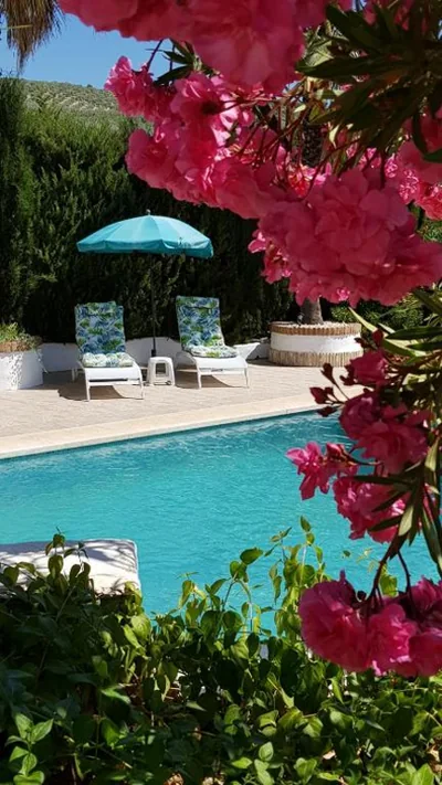 Casa Olivar B&B — foto 6