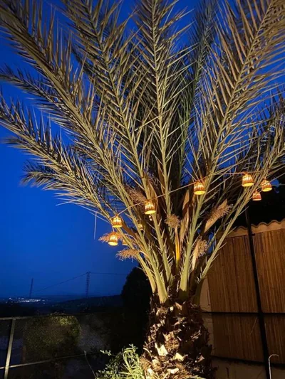 Casa Olivar B&B — foto 12