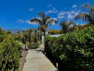 Casa Ortega — foto 10