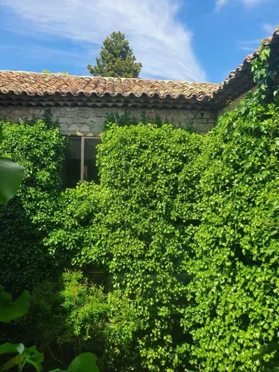 Casa Palaciega El Cuartel — Foto 8