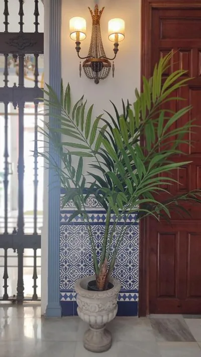 Casa Palacio Don Pedro — foto 10