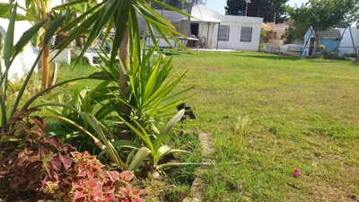 Casa Pelicano — 写真 12