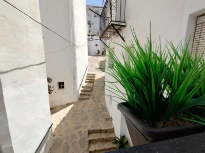 Casa Perejil, un balcón al Genal — photo 7