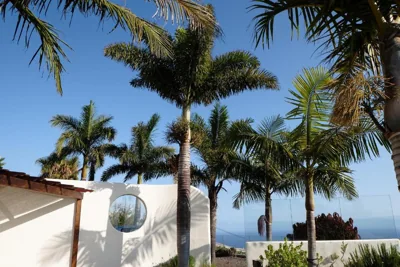 Casa PERSEIDAS — foto 9