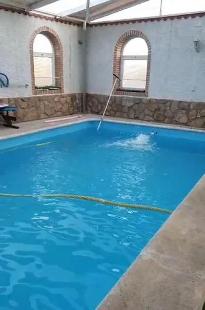 Casa Pinares — foto 4