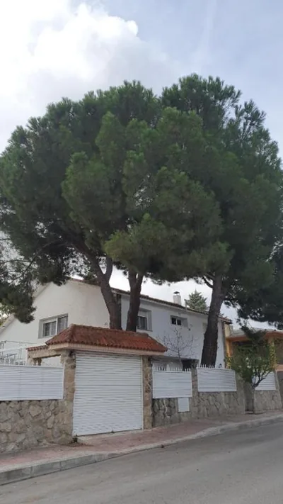 Casa Pinares — foto 10