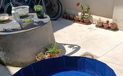 Casa Pita — foto 3