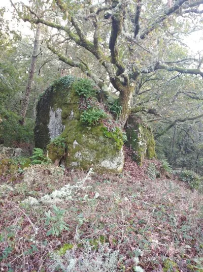 Casa Raposeira — Foto 10