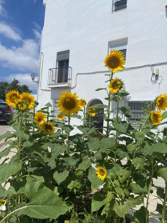 Casa de 2 dormitorios — CASA RETINTO