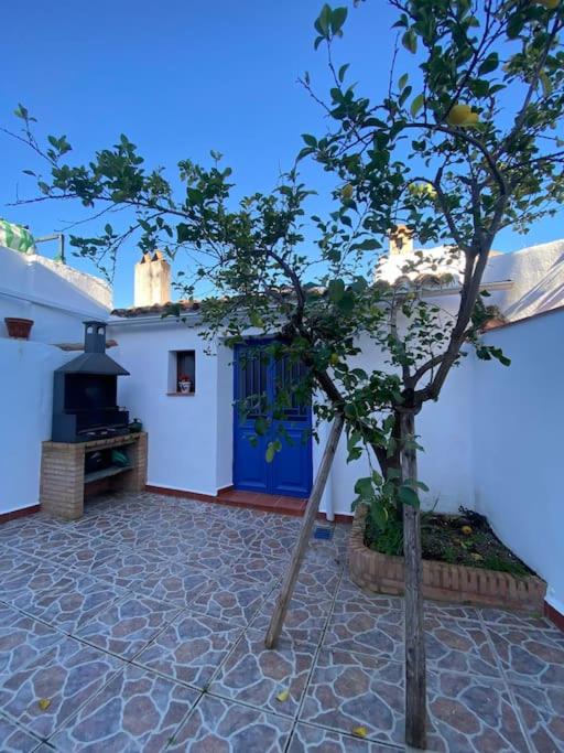 Casa Rosalía