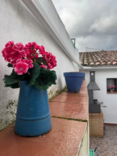 Casa Rosalía — foto 11