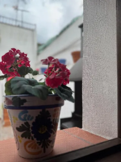 Casa Rosalía — foto 12