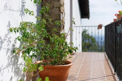 Casa Rural Arbillas — foto 3