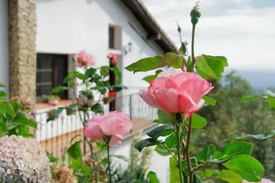 Casa Rural Arbillas — foto 6