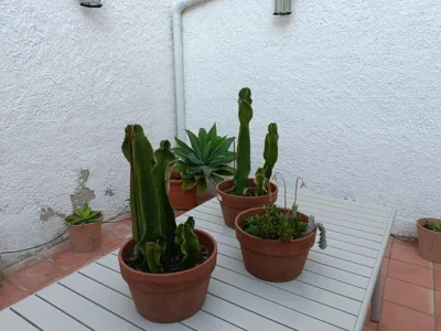 Casa Rural Casa Sagasta — foto 5