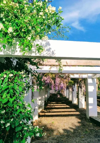 Casa Rural Castillo de Cáceres — 照片 10