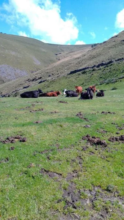 Casa Rural Costalisa — foto 2