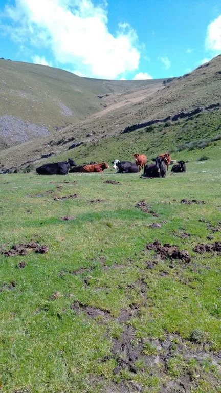 Casa Rural Costalisa