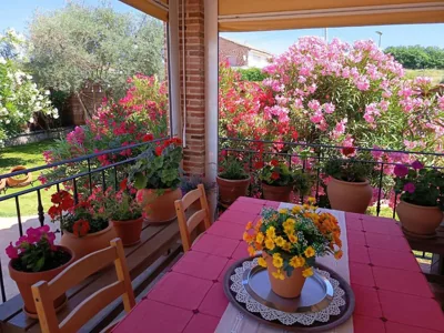 Casa Rural Dani. Escalona — Foto 11
