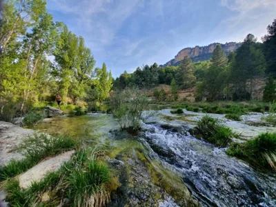 CASA RURAL EL BÚ - B&B Alto Tajo Alojamiento Rural Guadalajara — foto 3