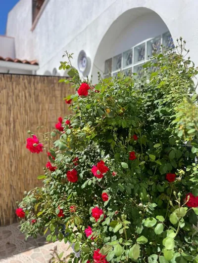 Casa Rural "El Cañuelo" — photo 10