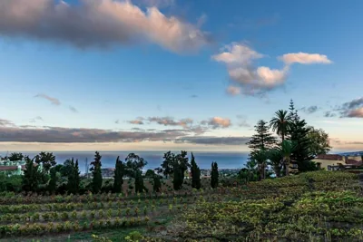 CASA RURAL EL LAGAR TENERIFE — Foto 3