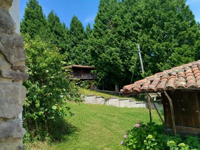 Casa Rural El Llar del Busgosu — foto 9