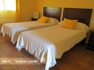 Casa Rural El Nidal — foto 2