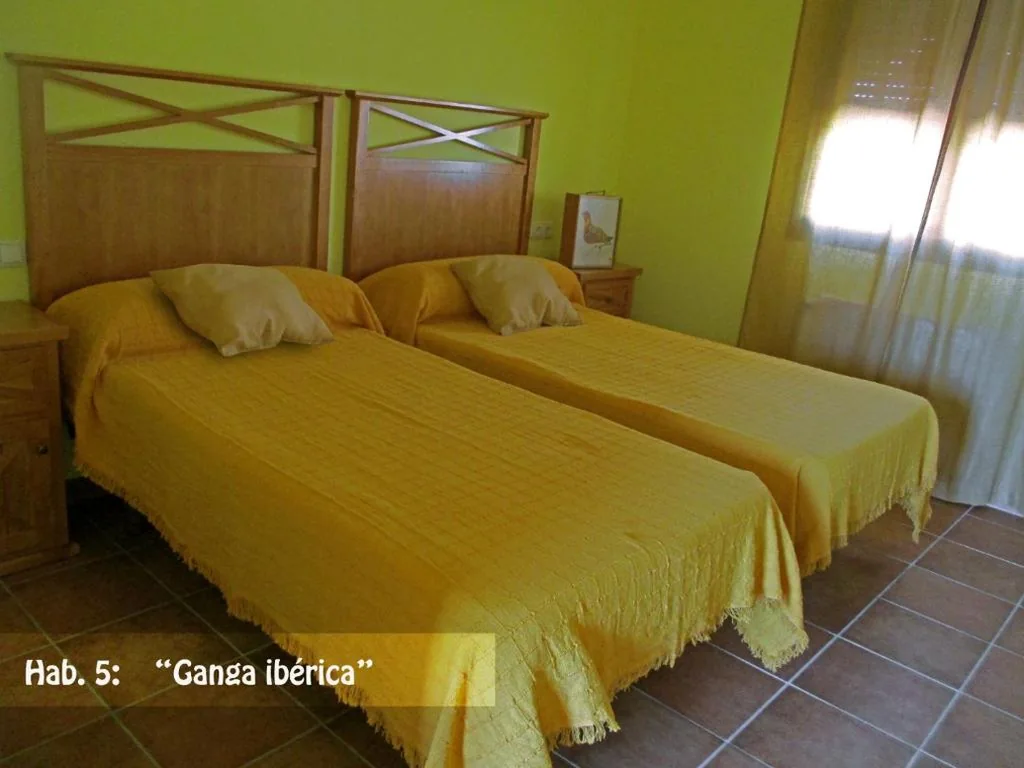 Camera doppia con 2 letti — Casa Rural El Nidal