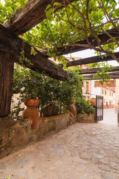 Casa rural el rincón del Altozano — foto 9