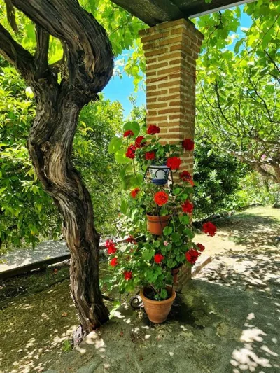Casa Rural en Candeleda con piscina y un maravilloso jardín — foto 12