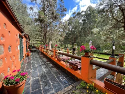 Casa Rural en medio del bosque, El Lance — foto 7