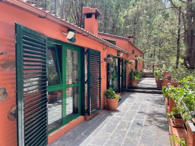 Casa Rural en medio del bosque, El Lance — foto 12