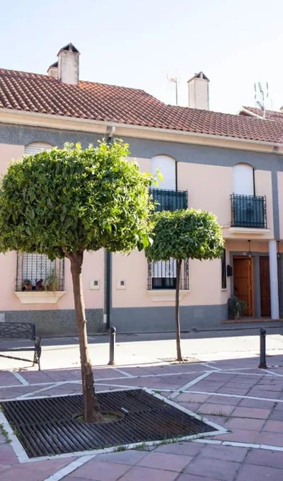 Casa Rural La Palmera — foto 6