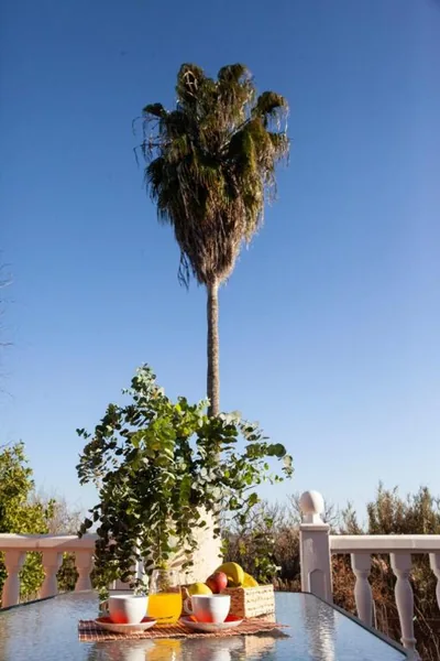 Casa Rural La Palmera — foto 12