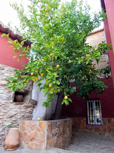 Casa Rural La Perra Gorda — foto 10