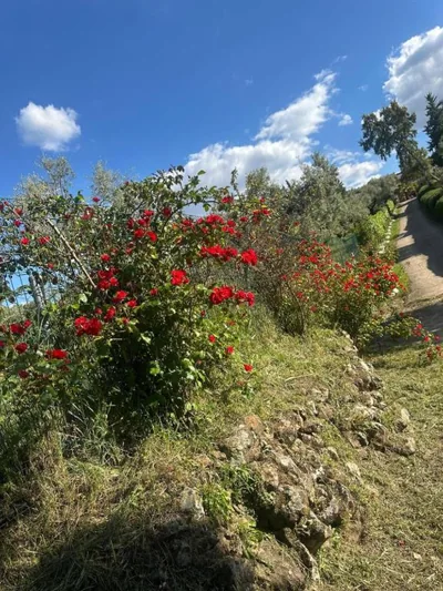 Casa rural La Portilla — foto 5