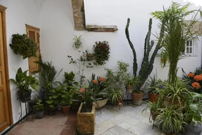 Casa Rural Las Cadenas del Cananeo — foto 8