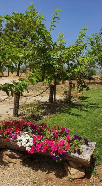 casa Rural Las Traviesas — foto 9