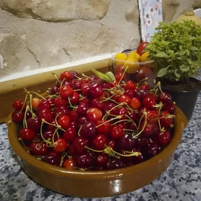 Casa Rural Montedeio — foto 10